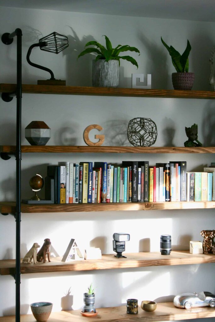 A shelf displaying an assortment of books alongside various potted plants, creating a harmonious and inviting atmosphere