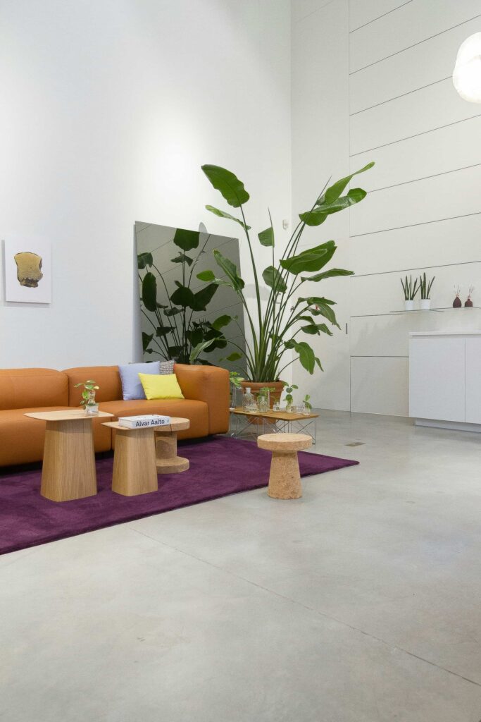 A vibrant living room featuring orange furniture complemented by lush green plants, creating a warm and inviting atmosphere