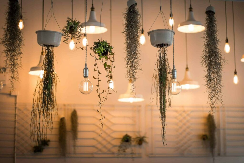 Hanging plants adorned with lights create a vibrant and inviting atmosphere in a cozy indoor space.